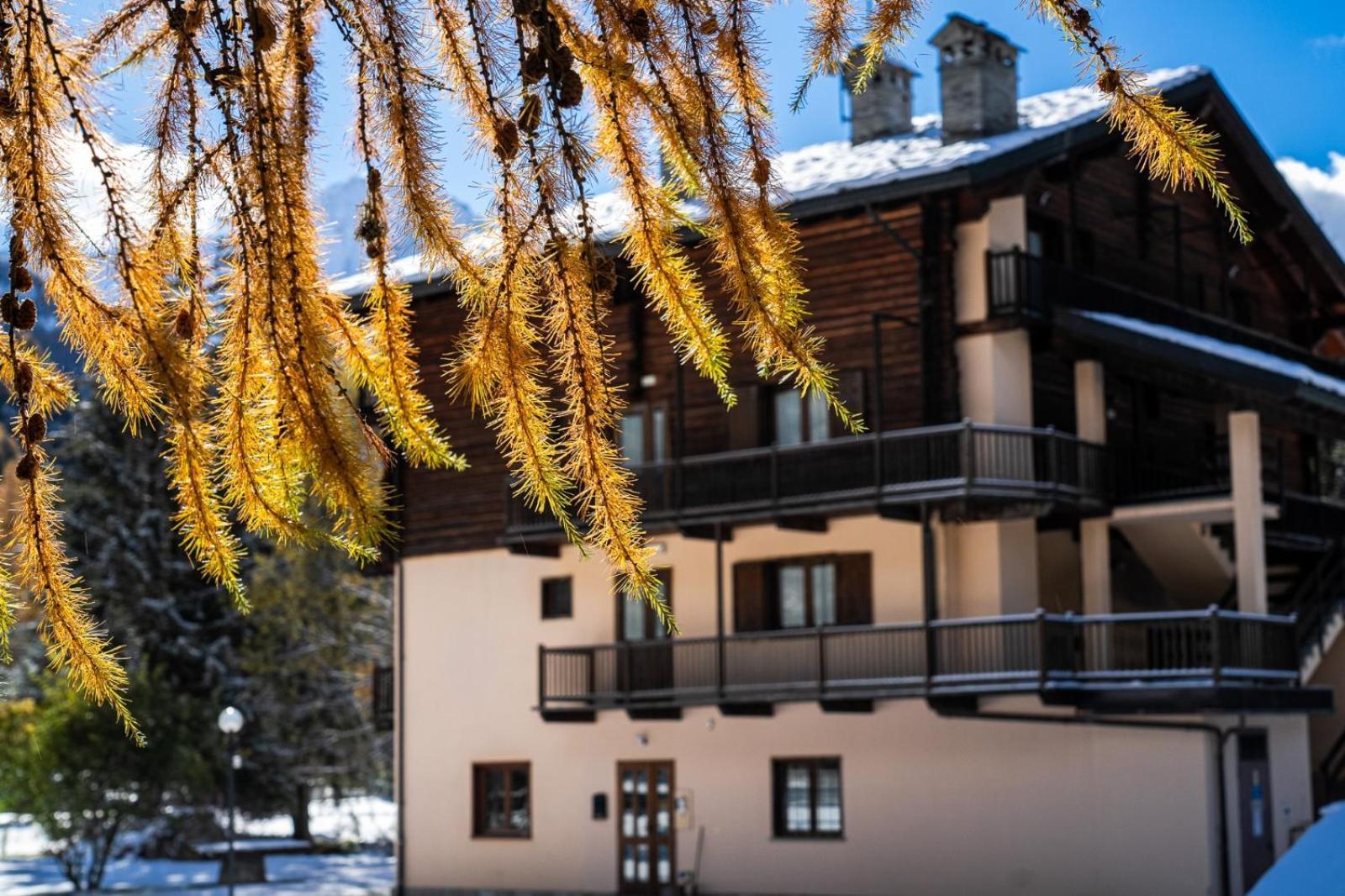 Alpine Forest Hotel Champoluc Exterior photo
