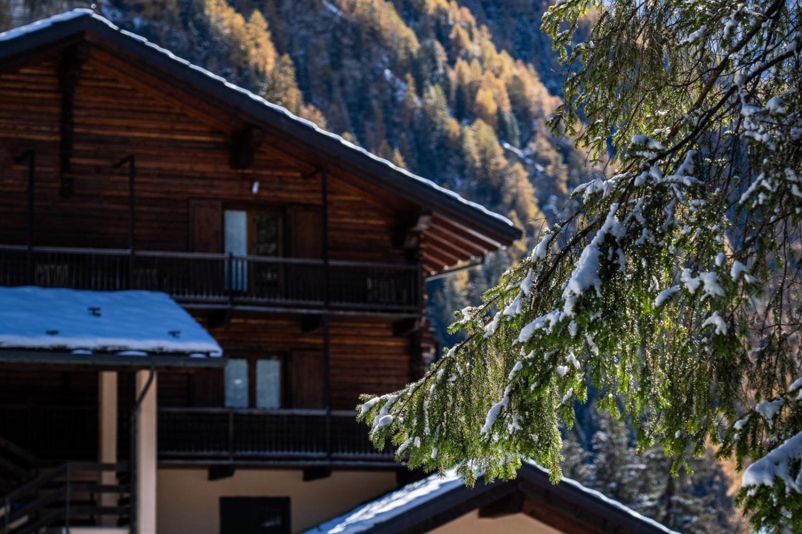 Alpine Forest Hotel Champoluc Exterior photo